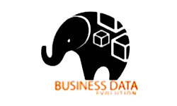 Business Data Evolution